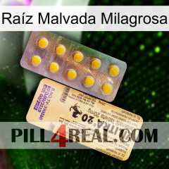 Raíz Malvada Milagrosa new06